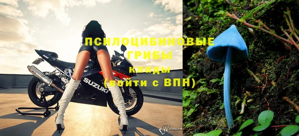 соль курить ск Алексеевка