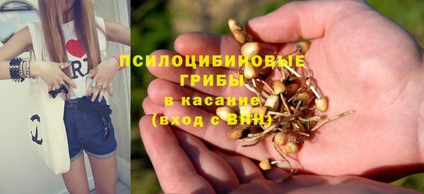 спиды Абаза