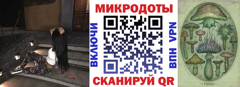 Псилоцибиновые грибы прущие грибы  Жердевка 